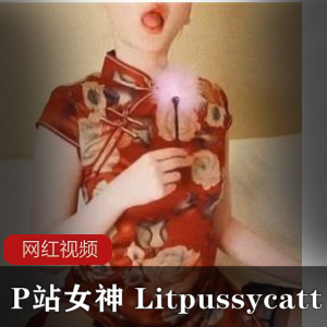 P站女神 Litpussycatt 旗袍黑丝作品一部