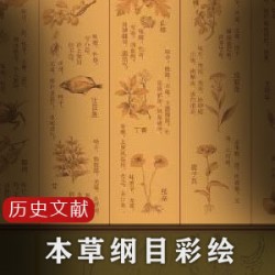 本草纲目白话彩图版