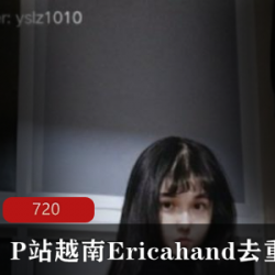 P站越南Ericahand去重合集