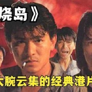 极速查看·在线视频·原画下载·倍速播放1990火烧岛成龙